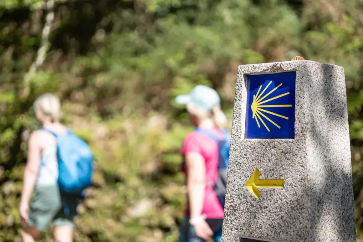Pilgrimer på Santiago de Compostela vandring följer den ikoniska snäckan.