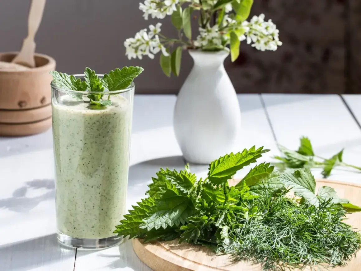 Zielony koktajl z pokrzywy, ozdobiony miętą, obok świeżych ziół na desce. Pesto z pokrzywy w szklance.