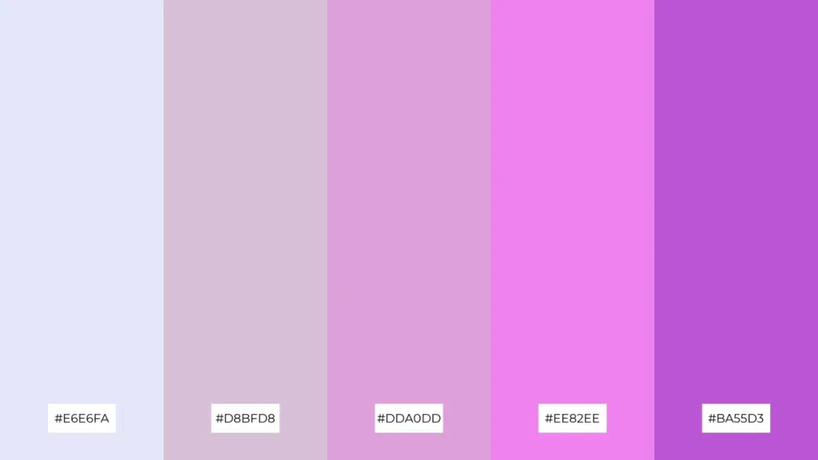 A gradient of soft purples and pinks, creating a dreamy lavender color scheme.