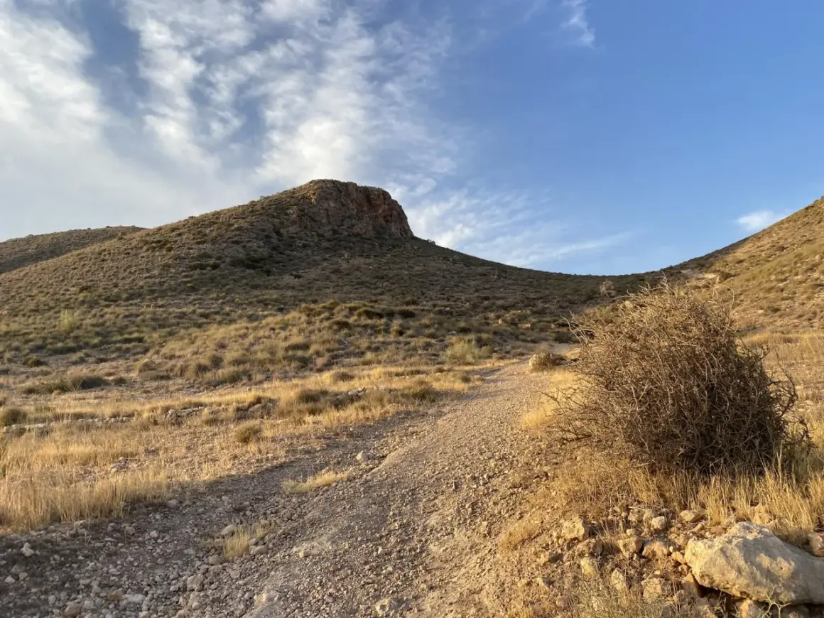 Sendero pedregoso asciende hacia una colina árida bajo un cielo azul con nubes tenues. A la derecha, un arbusto seco y espinoso se alza cerca del camino, evocando la dureza del paisaje, quizás cerca del **cráter del hoyazo**.