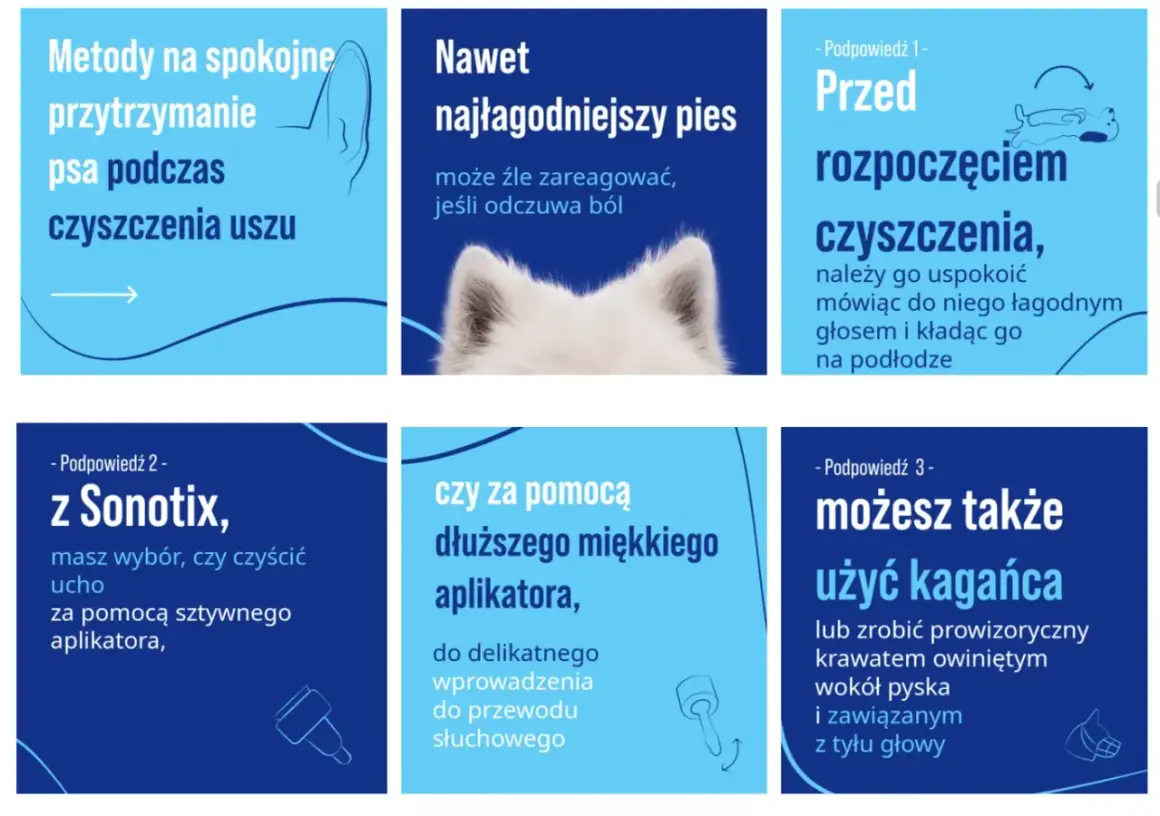 Porady dotyczące czyszczenia uszu psa: uspokój go, użyj aplikatora lub kagańca.