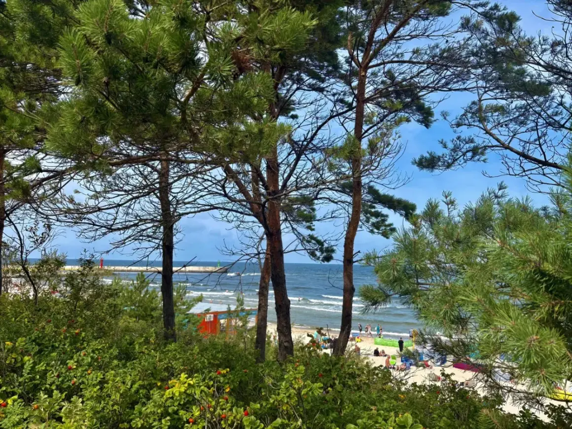 Widok na plażę w Mrzeżynie, z ludźmi odpoczywającymi na piasku i morzem w tle. To jedne z wielu mrzeżyno atrakcje.