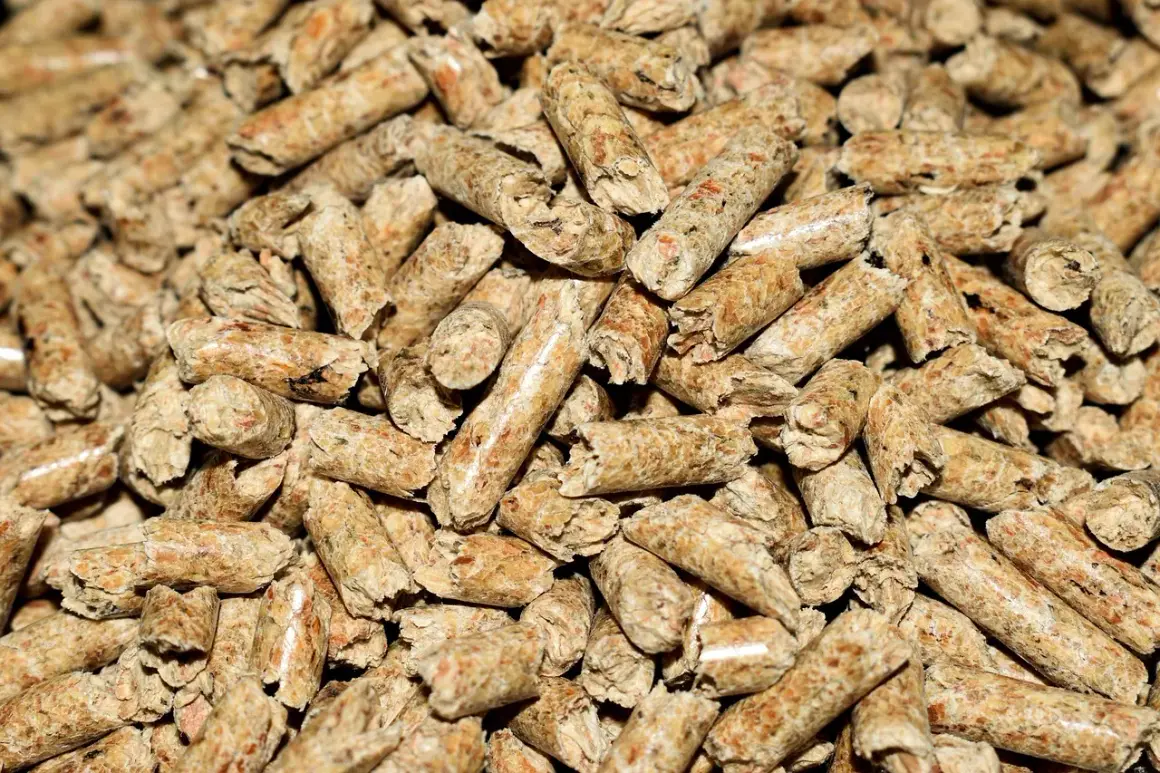 Zbliżenie na stos drobnych, cylindrycznych granulek drewna. Wygląda na to, że brakuje pelletu do ogrzewania domu.