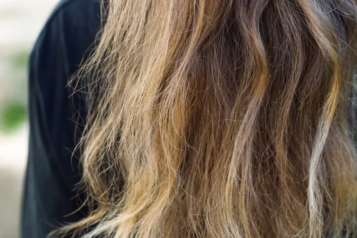 Chevelure châtain aux reflets blonds, légèrement ondulée, montrant l'effet de l'eau sur les cheveux.