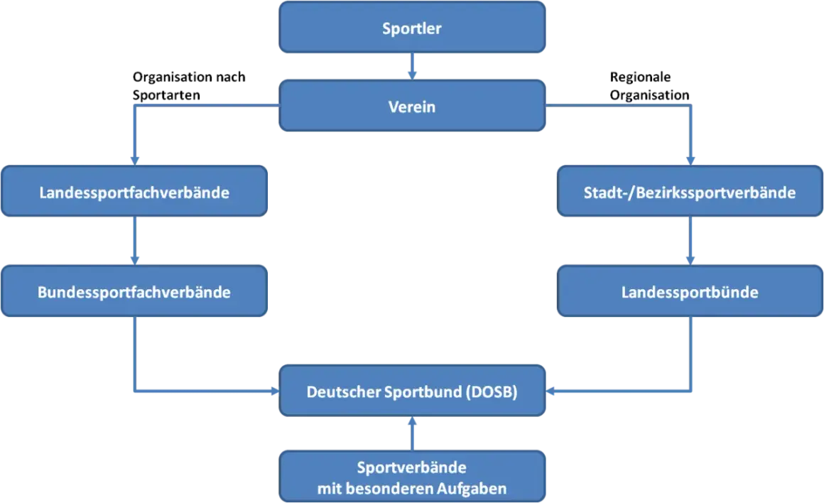 Organigramm des deutschen Sports: Sportler, Vereine, Fachverbände und der DOSB als Dachorganisation.