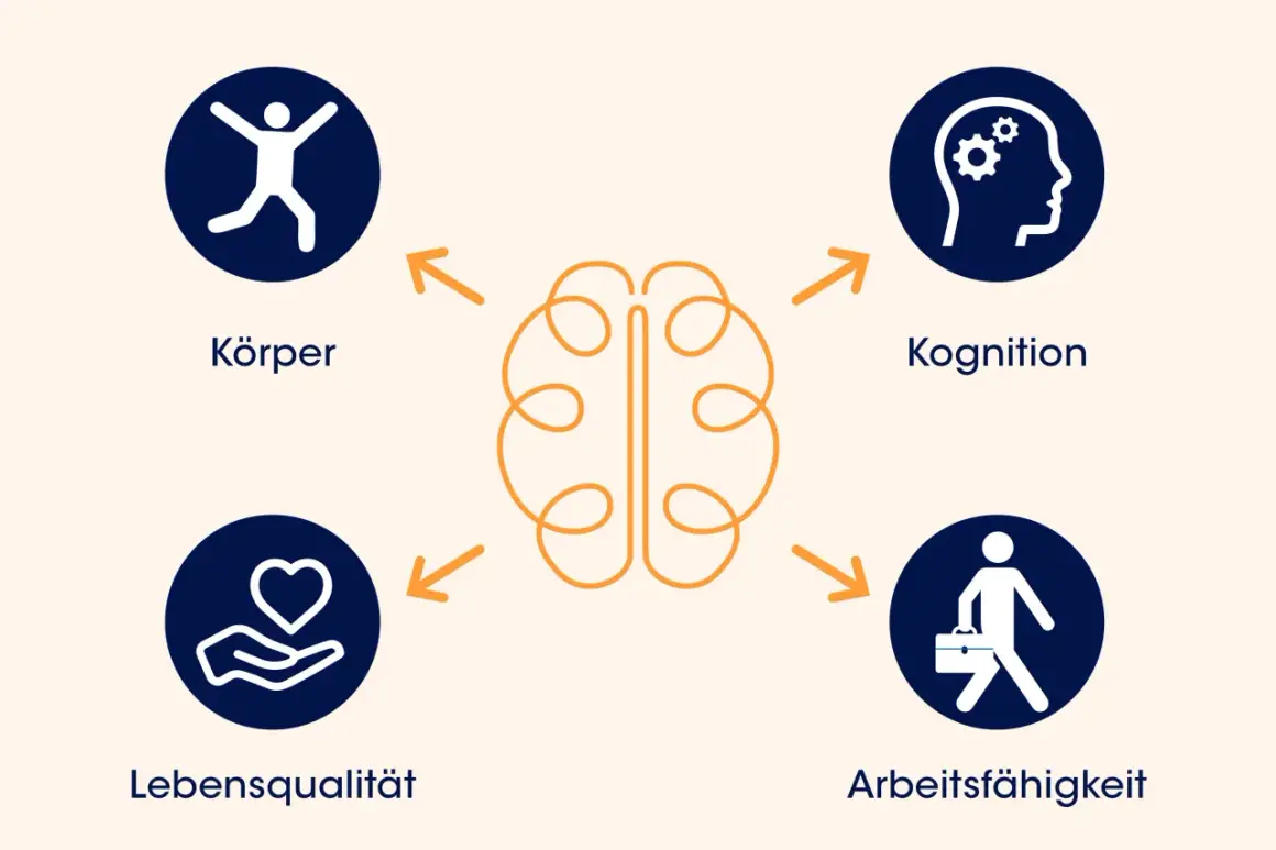 Diagramm zeigt, wie Körper, Kognition, Lebensqualität und Arbeitsfähigkeit mit dem Gehirn verbunden sind. Symptome, wenn das Gehirn schrumpft, können alle diese Bereiche betreffen.