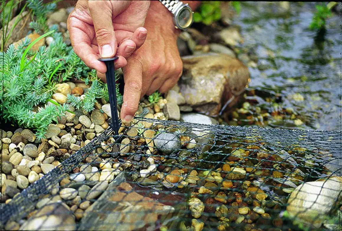 Main tenant fixe un filet sur des galets près de l'eau. Ce filet protège les poissons, ce que mange un héron, des prédateurs.