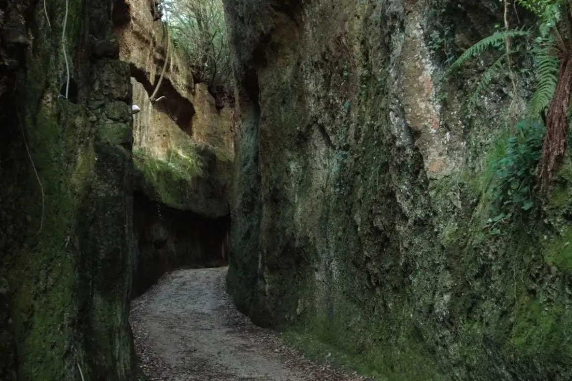 Sentiero tra le rupi corchiano, con pareti rocciose ricoperte di muschio e vegetazione.