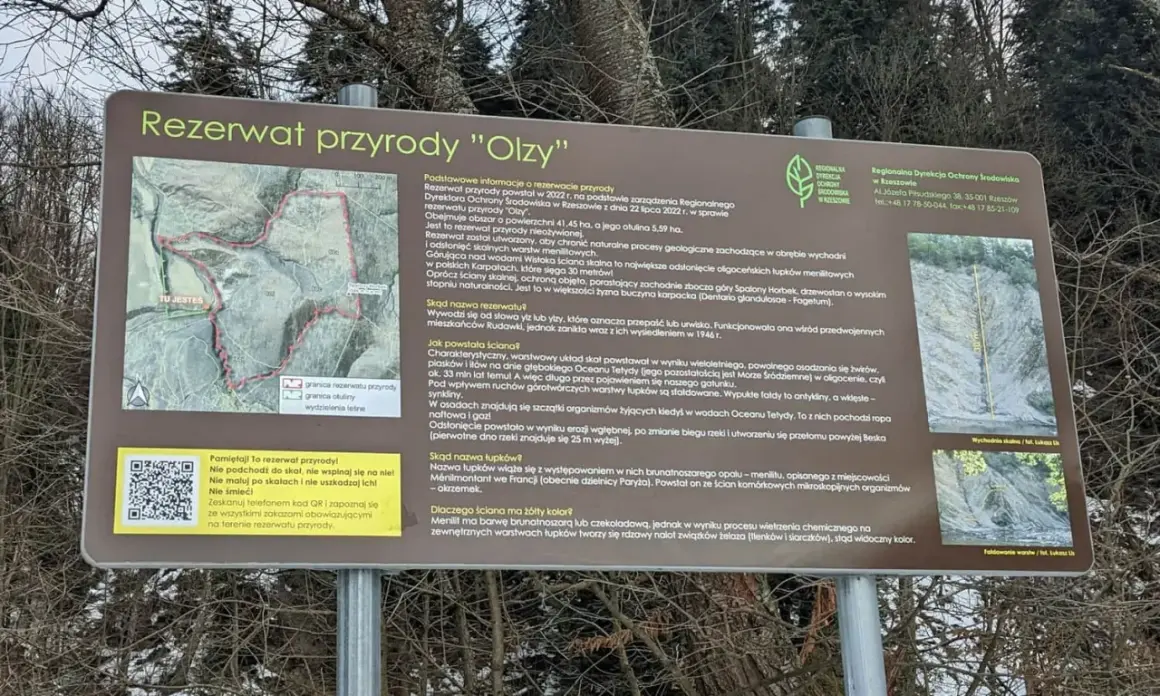 Wyjaśnienie genezy i nazwy rezerwatu przyrody "Olzy", z naciskiem na jego charakterystyczną, żółtą ścianę skalną.