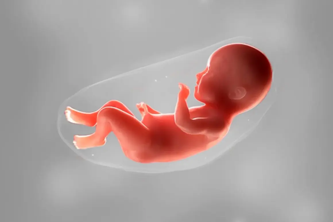 Ein Fötus in 34 ssw welcher Monat ist das? Er liegt entspannt in der Fruchtblase, bereit für die Geburt.