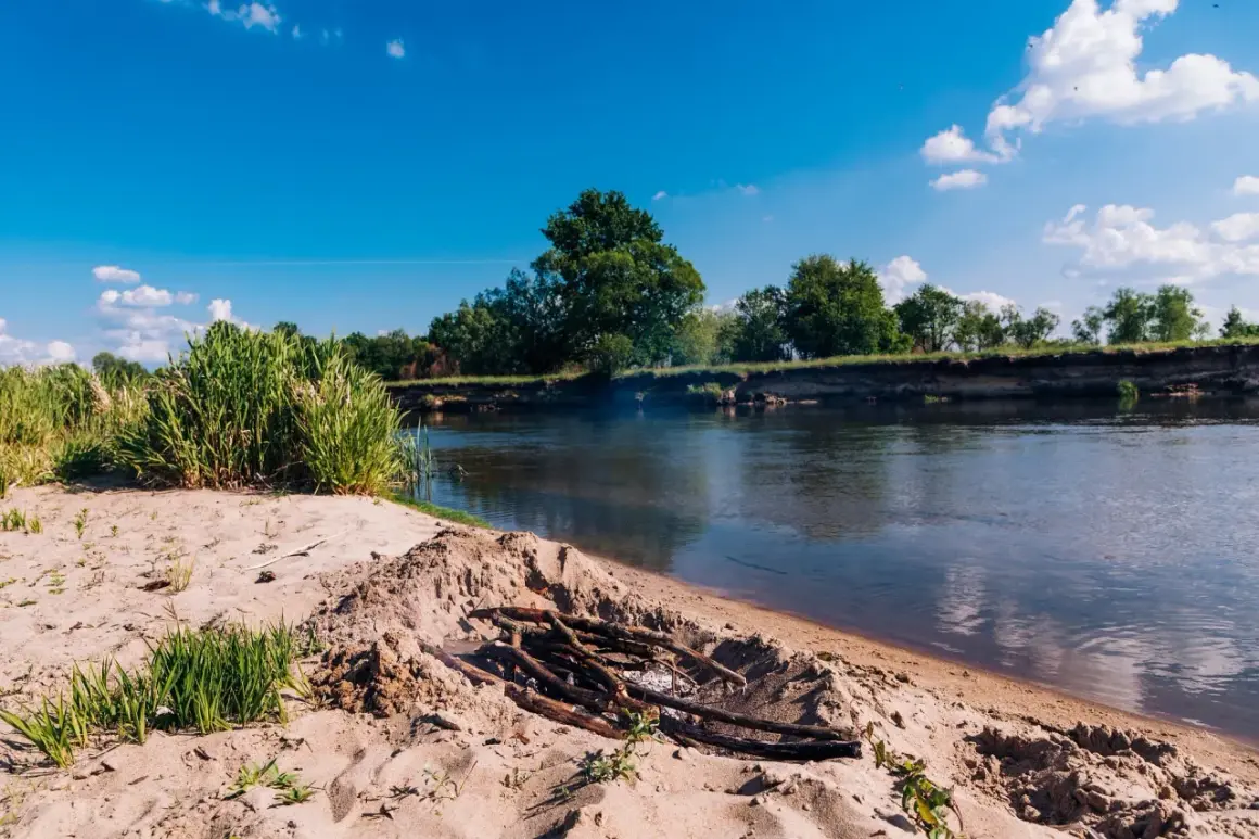 Piaskowy brzeg i ognisko nad spokojną rzeką Wartą. W oddali zielone drzewa i błękitne niebo z chmurami.