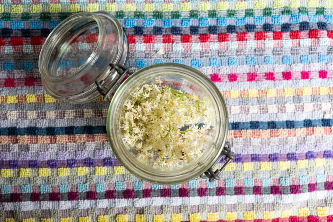 Ein Glas voller Holunderblüten, bereit für ein köstliches Holundergelee Rezept.