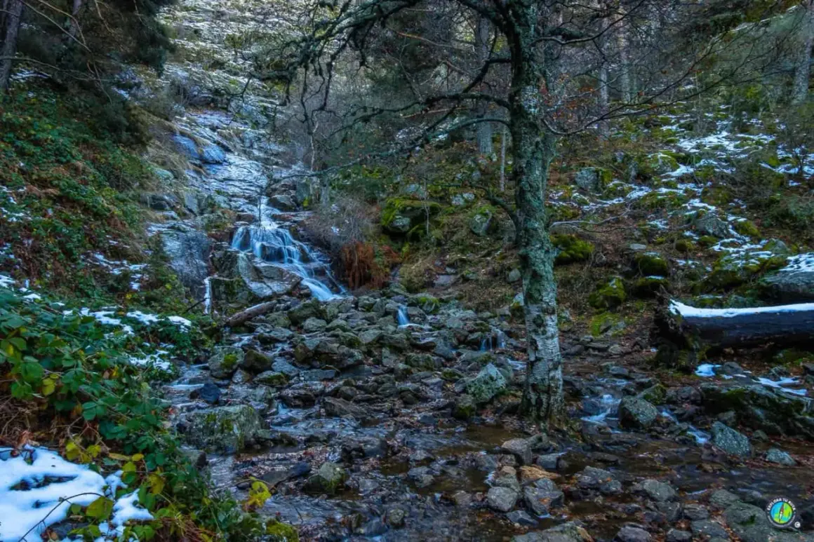 Cascada en el **puerto de Canencia**, con nieve y rocas cubriendo el cauce. Un árbol solitario vigila el paisaje.