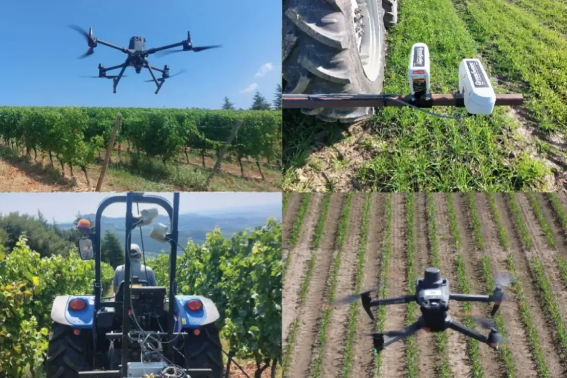 Droni e sensori avanzati rivoluzionano l'agricoltura tecnologia, monitorando vigneti e campi di mais per raccolti ottimali.