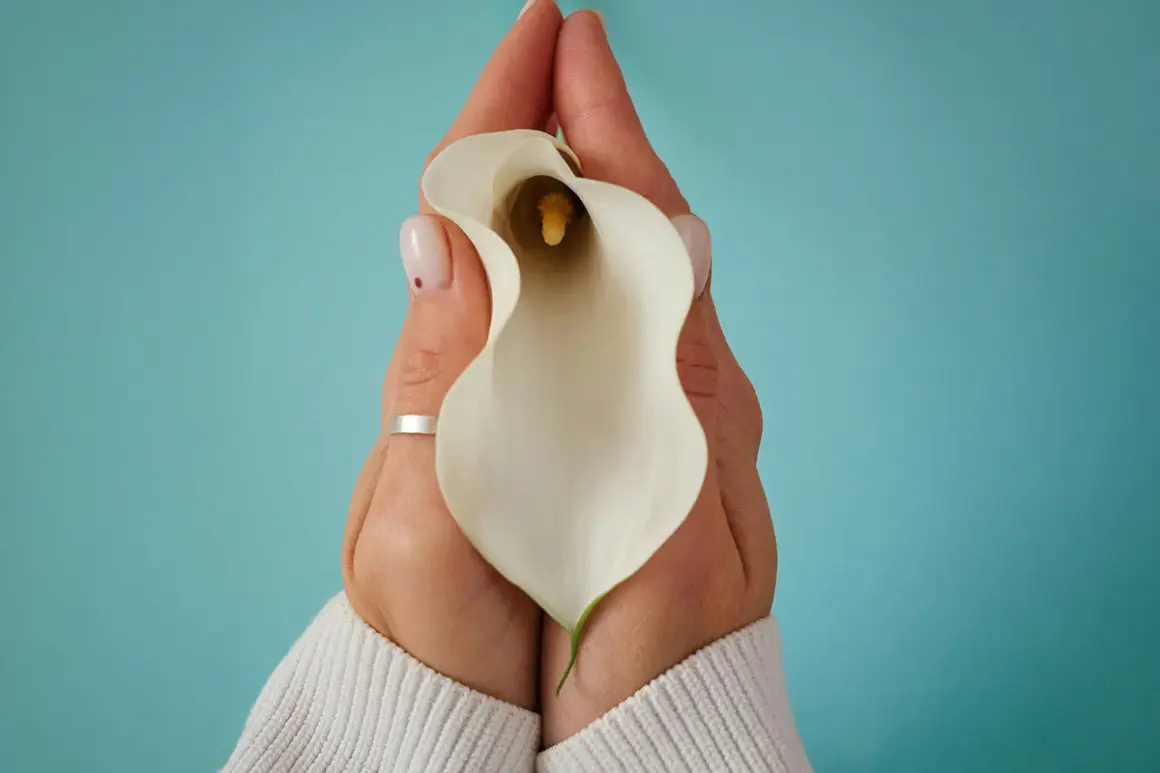 Mains tenant une calla blanche, symbole de douceur et de soin pour le massage périnée après accouchement.