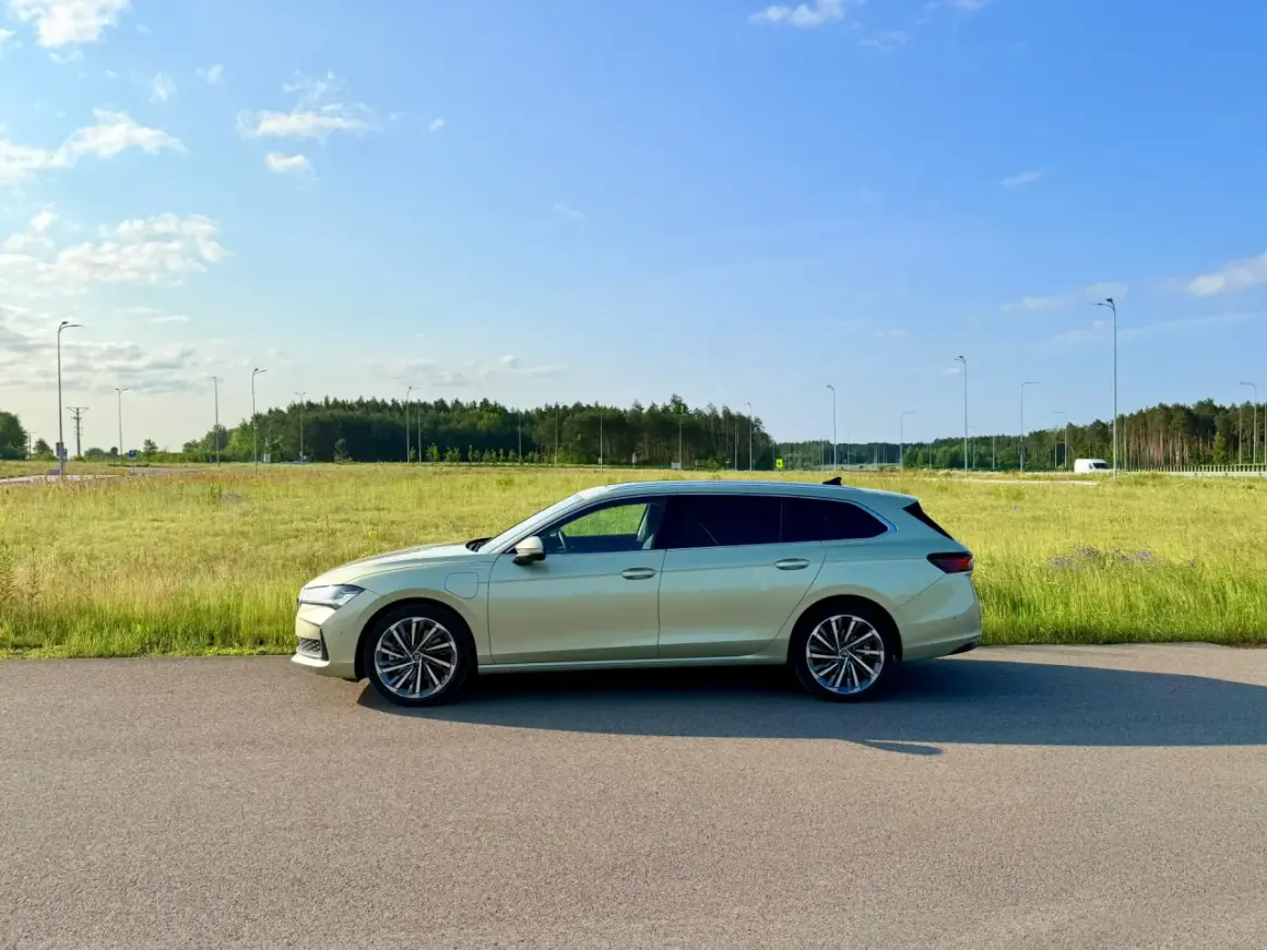Jasnozielony superb plug-in na tle łąki i lasu. Idealny do podróży.