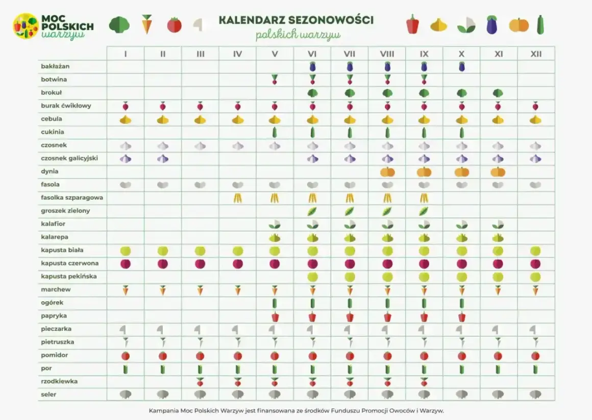 Kalendarz ogrodnika: co kiedy sadzić. Tabela pokazuje sezonowość polskich warzyw przez cały rok, od bakłażana po selera.