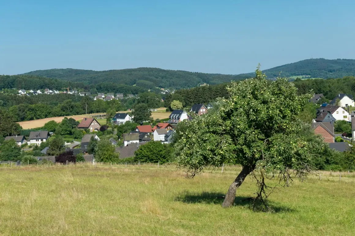 Grünes Tal mit Apfelbaum im Vordergrund, Häuser und Wälder im Hintergrund. Ein idyllischer Ort am Bierweg Bielstein.