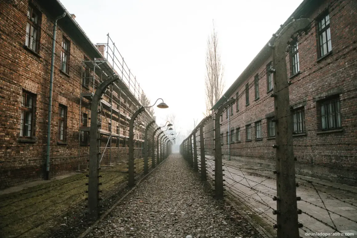 Camino de grava entre edificios de ladrillo y alambradas con espinos, evocando el triste recuerdo del autobús Cracovia Auschwitz.