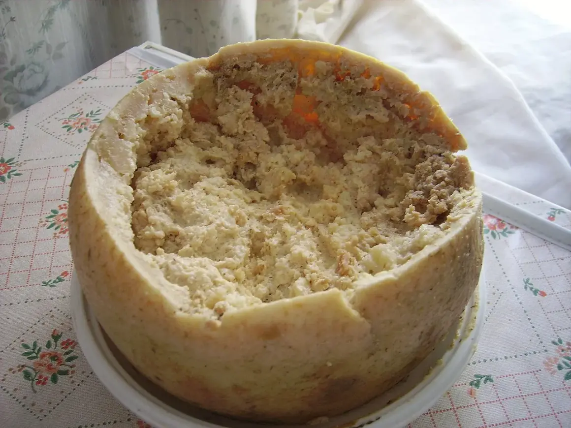 Ser z robakami, znany jako casu marzu, z widocznymi larwami.