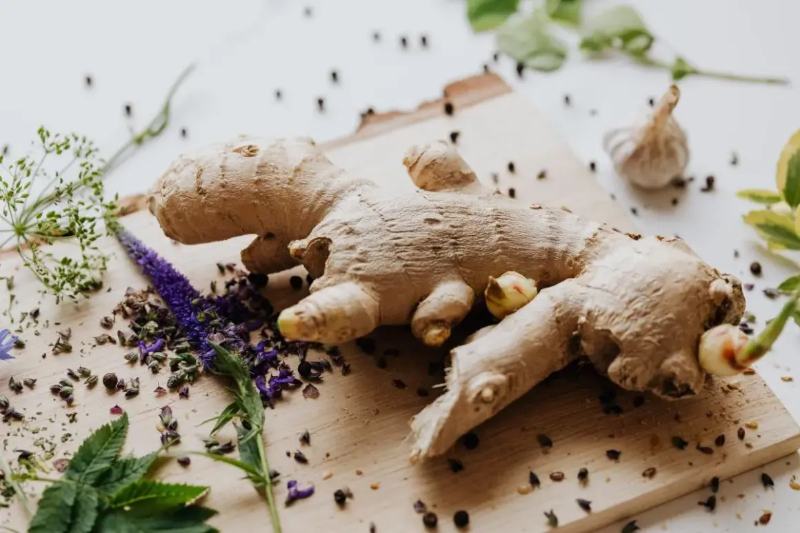 Raíz de jengibre fresca, con flores moradas y granos de pimienta. Imagina a que sabe el jengibre: picante y aromático.
