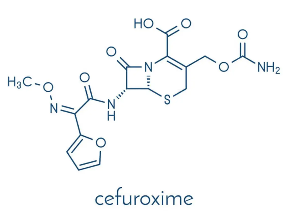 Struktura chemiczna cefuroksymu, antybiotyku z grupy cefalosporyn, znanego też jako Zinnat.