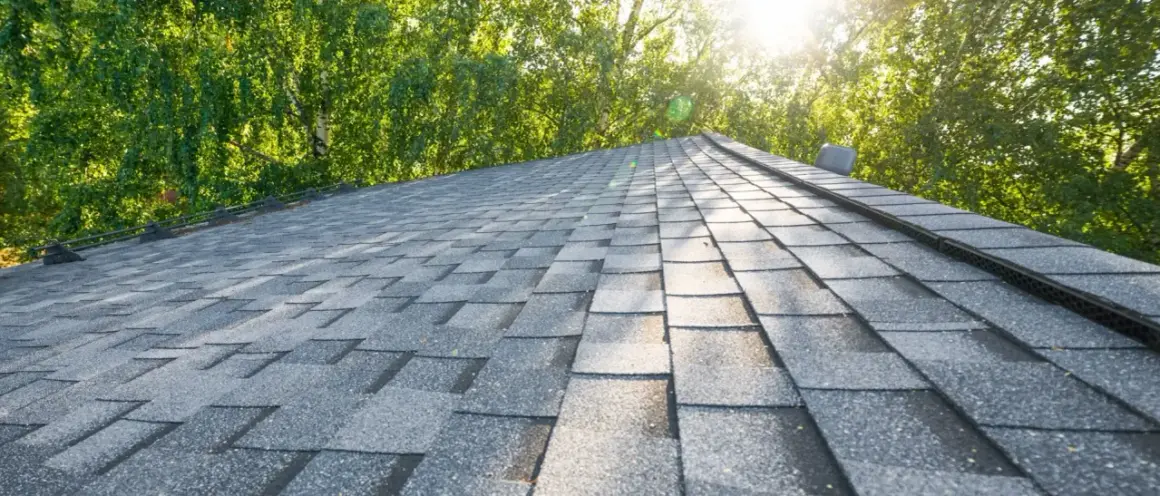 A close-up view of a grey asphalt shingle roof, showing the texture and pattern of the coating. Lush green trees are visible in the background, with sunlight filtering through the leaves.