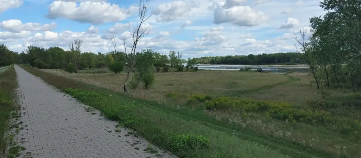Asfaltowa ścieżka wzdłuż rzeki, idealna na spacer. Stężyca trasa oferuje piękne widoki na zieleń i wodę.