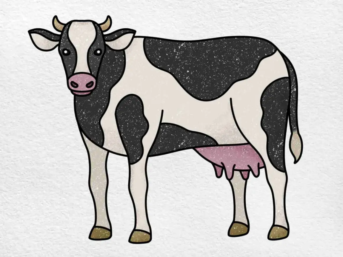 Una vaca para dibujar, con manchas negras y blancas, cuernos y ubres rosadas.
