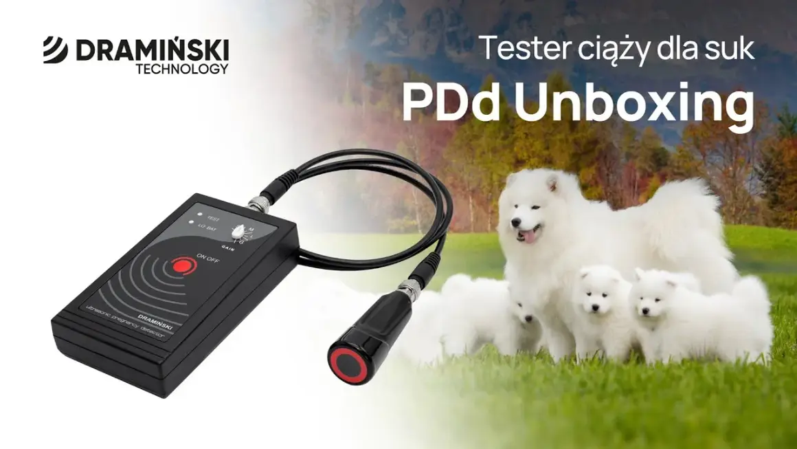 Test ciążowy dla psa: Kup online, zrób sam, poznaj prawdę o ciąży!