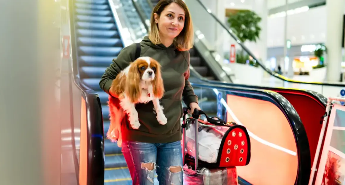 Une femme souriante descend un escalateur avec son chien dans les bras, prête pour son vol easyJet.