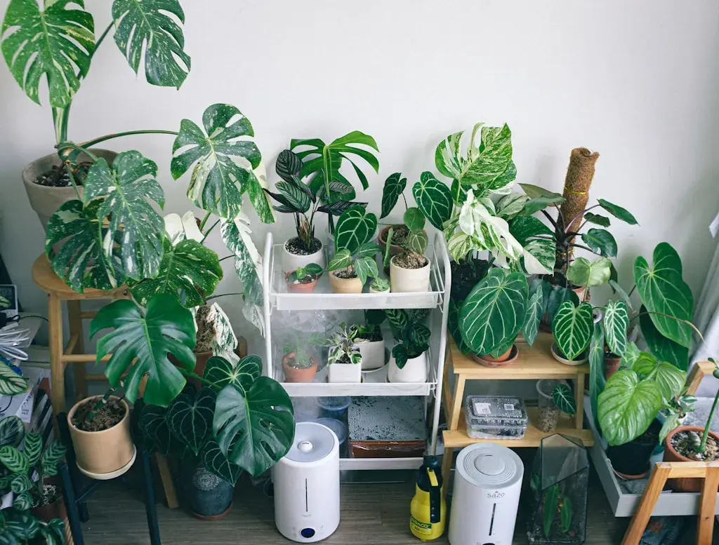 Diseño Biofílico: Integra Naturaleza y Confort Acústico en tu Hogar