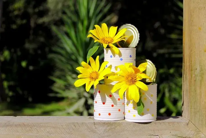 Cómo hacer una maceta con cosas reciclables y darle vida a tu jardín