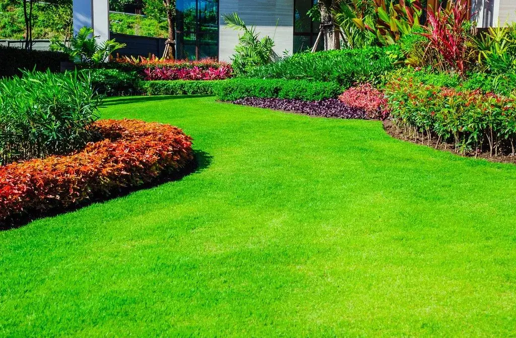 Arbusto jardín: elige los mejores para transformar tu espacio verde