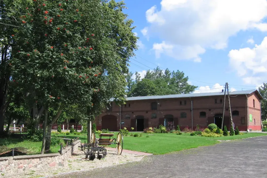 Stadnina koni Nowielice – historia, usługi i atrakcje jeździeckie