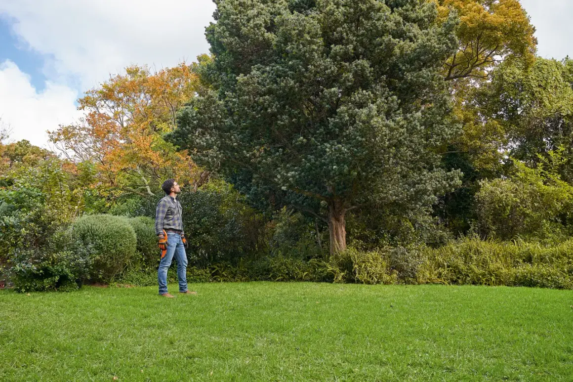 Cuándo podar las plantas para asegurar su salud y floración óptima
