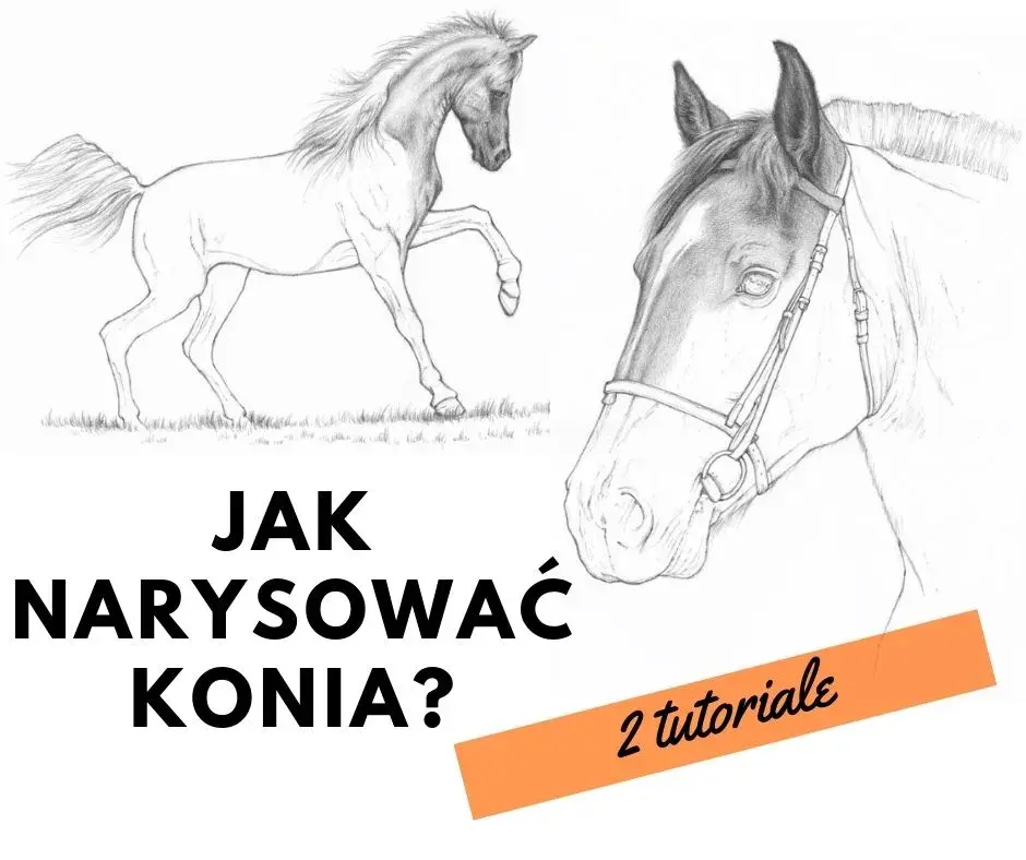 Jak narysować konia dla dzieci w prosty sposób - krok po kroku