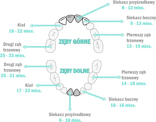 Ząbkowanie które zęby najgorsze: jak złagodzić ból u niemowląt