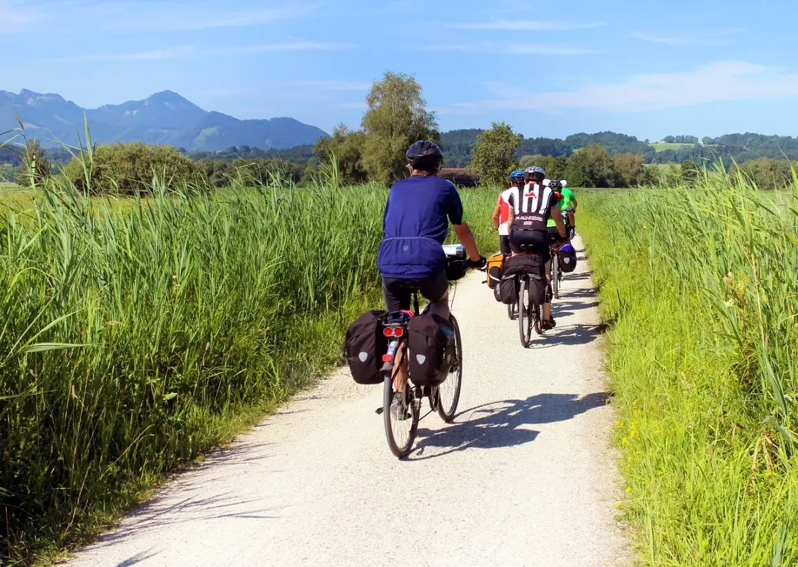 Grupa rowerzystów wyrusza na kilkudniowe wycieczki rowerowe, jadąc szutrową ścieżką wśród wysokich traw, z górami w tle.