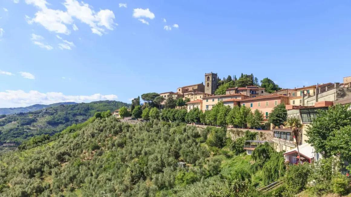 Panoramica di un borgo collinare con case colorate e un campanile, circondato da uliveti e vegetazione lussureggiante. Un'idea di cosa vedere a Montecatini Terme.