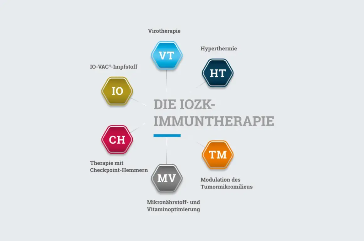 Schema der IOZK-Immuntherapie mit verschiedenen Ansätzen zur Verbesserung der Immuntherapie Lebenserwartung.