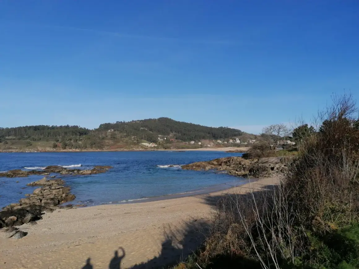 La tranquila playa de Vilariño, con arena dorada y aguas azules, se extiende bajo un cielo despejado. Rocas salpican la orilla, y colinas verdes cubiertas de árboles la rodean.