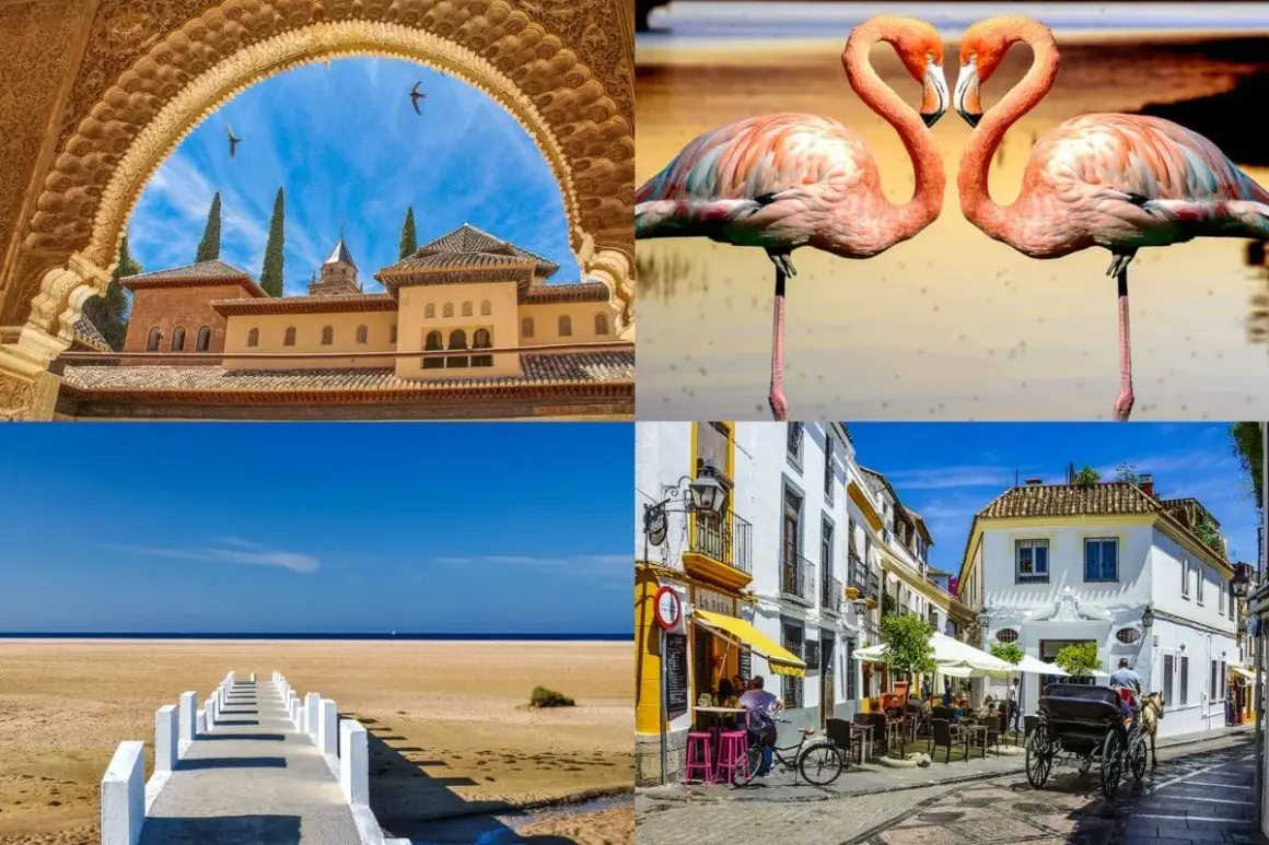 Imágenes de la Alhambra, flamencos, una playa y una calle típica. ¡Ideas para saber qué visitar en Andalucía!