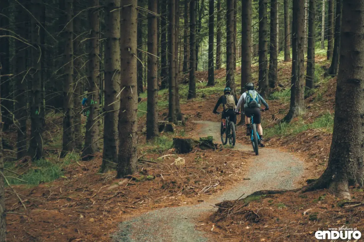 Dwóch rowerzystów pokonuje kręty single track w lesie w Kotlinie Kłodzkiej.