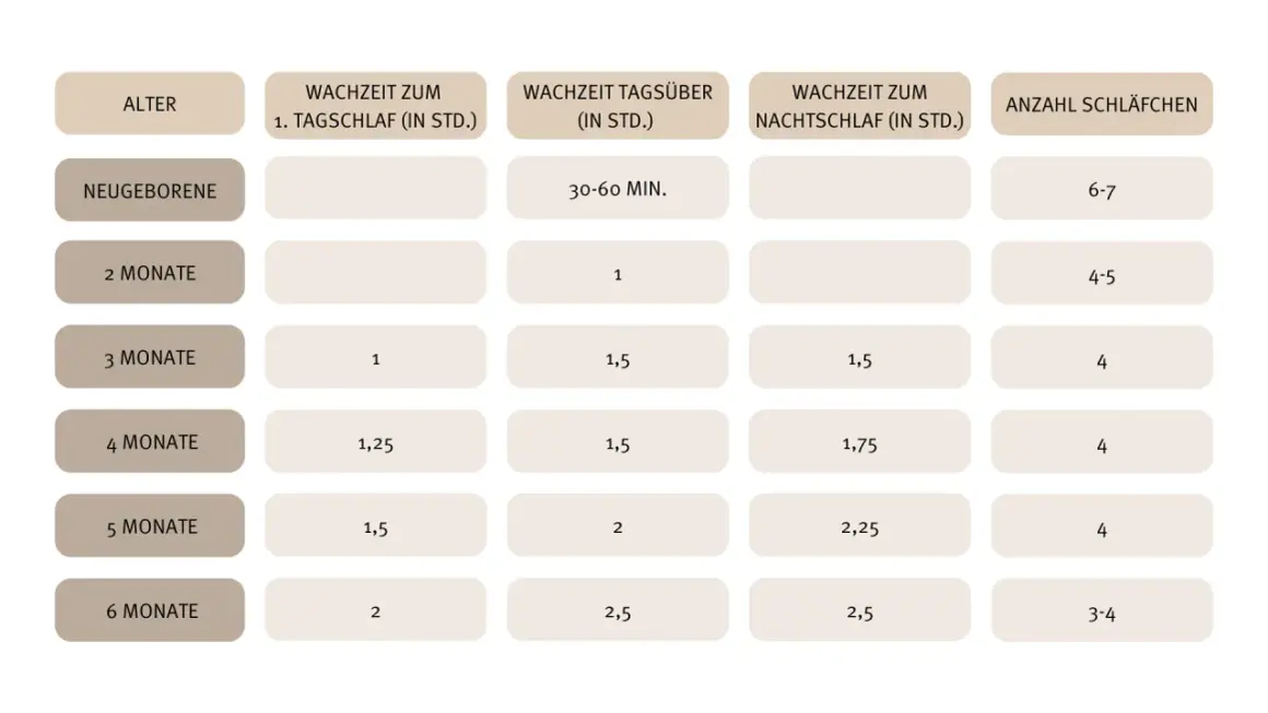 Tabelle zeigt, wie viel schlafen Neugeborene: 6-7 Schläfchen täglich. Mit 2 Monaten sind es 4-5, mit 3 Monaten 4 Schläfchen.