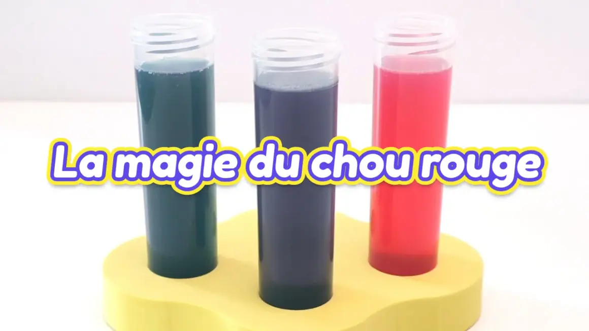 Trois éprouvettes aux couleurs vives (bleu, violet, rouge) montrent la magie du chou rouge pour tester le pH de l'eau sans testeur.