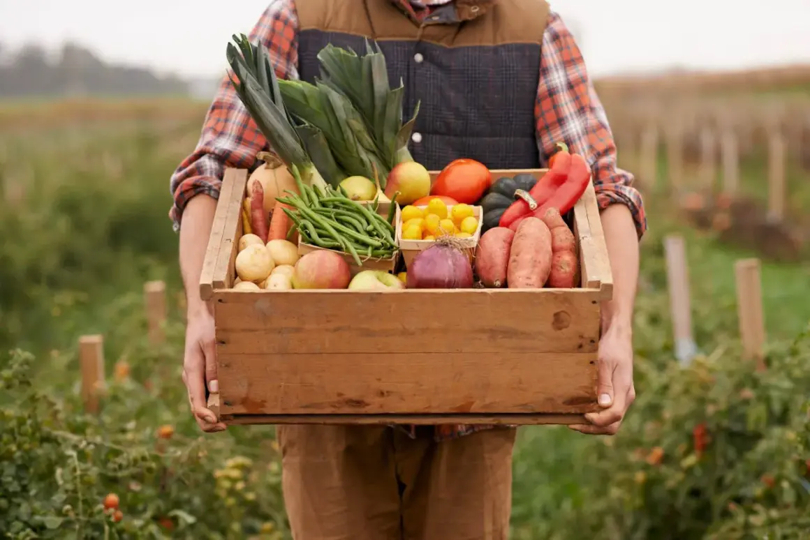 Contadino con cesto di verdure fresche, mele e patate. Un tripudio di prodotti a km zero appena raccolti, pronti per la tavola.