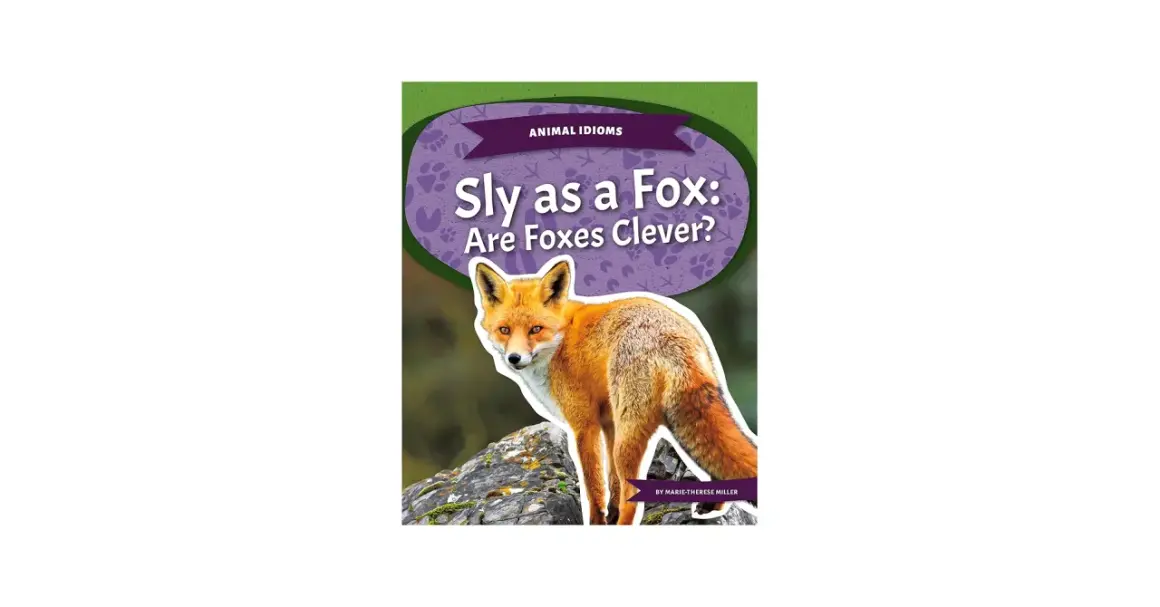 Rudy lis na kamieniu, okładka książki "Sly as a Fox: Are Foxes Clever?".
