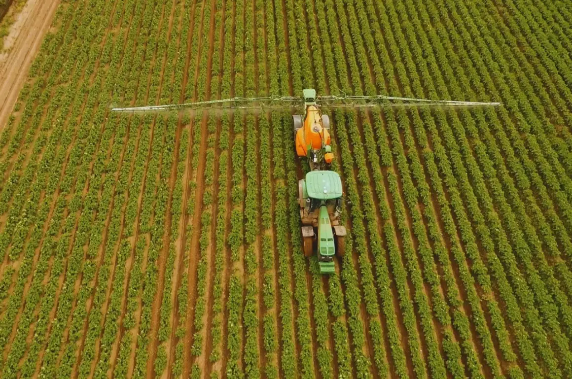Traktor opryskuje pole roślin. Rolnik zastanawia się, ile siarczanu magnezu na hektar użyć, by uzyskać najlepsze plony.