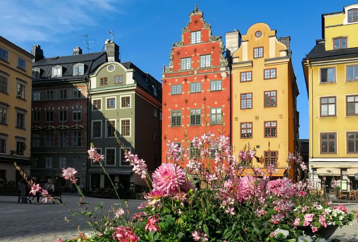 Färgglada hus på Stortorget, perfekt för ett hotell nära stortorget. Blommor i förgrunden.